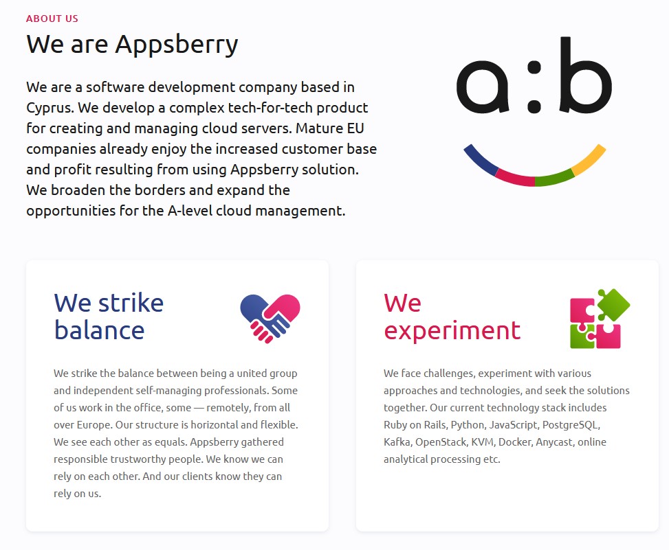 Written content for Appsberry | Software development company
