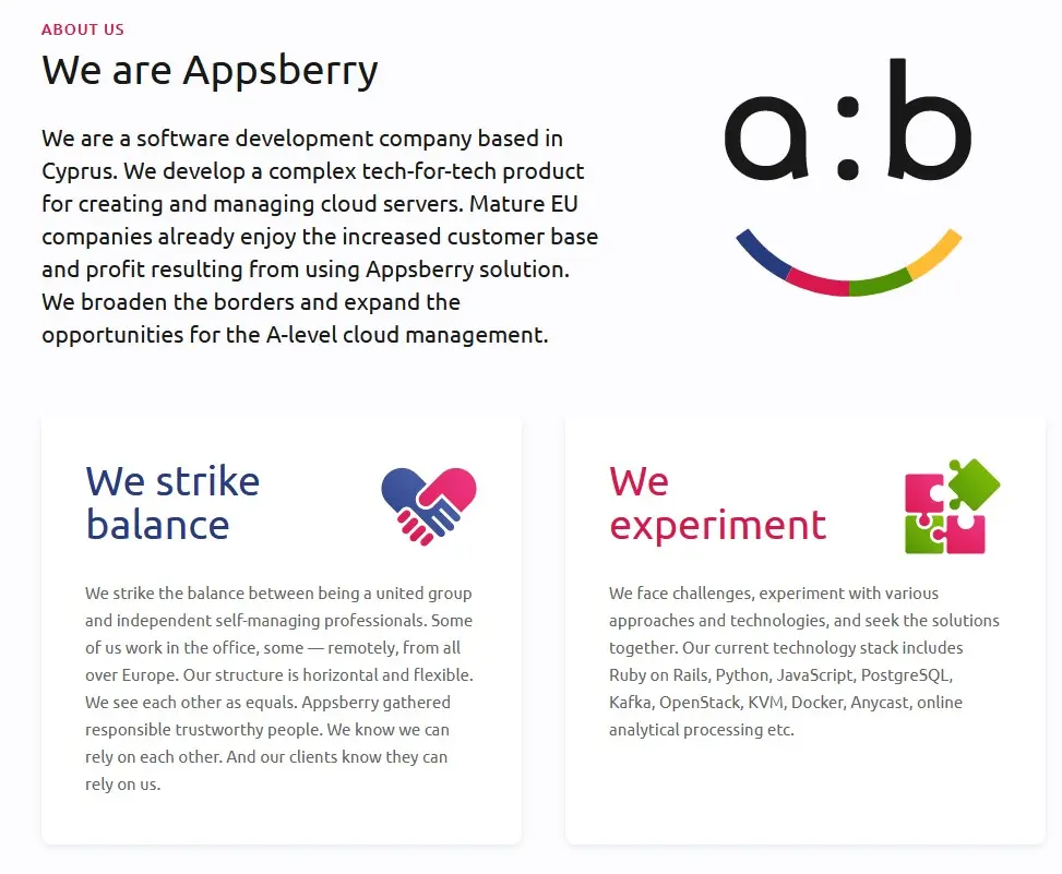 Written content for Appsberry | Software development company